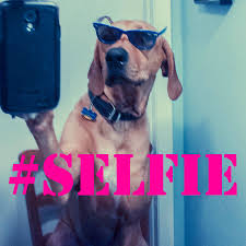 ABC Launches Social Media Sitcom