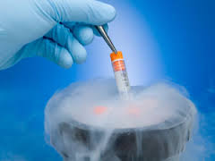 Technology and Human Egg Freezing