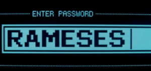 password new years resolution