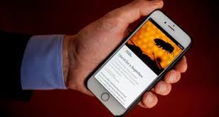 Facebook Instant Articles