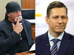 Peter Thiel Champions Hulk Hogan’s Cause