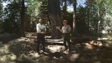 Visit National Parks…Through Virtual Reality