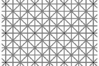 World Of Optical Illusions