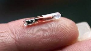 Sweden’s Microchip: Tech Trend or Big Brother?