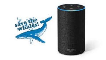 Alexa Donates to Charity: From Your Account