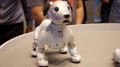 Robotic Dog Aibo: Is This Cute or Creepy?