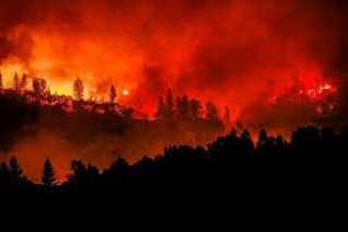 IT Service Verses California Wildfire