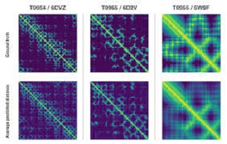 AI Technology and Proteins