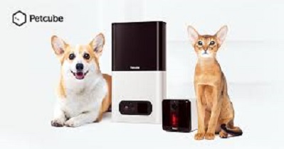 Petcube Enhances The Pet/Owner Relationship